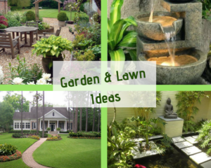 Garden & Lawns