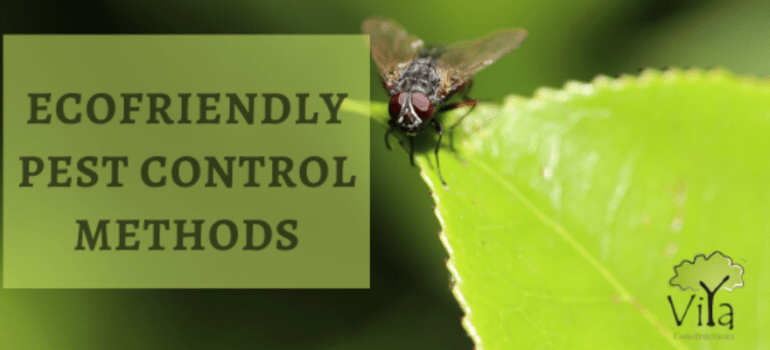 Ecofriendly pest control techniques