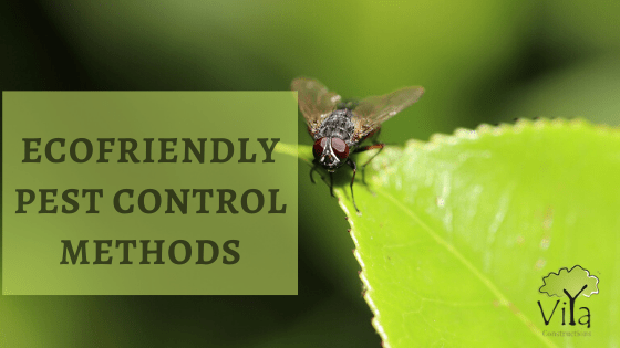 Ecofriendly pest control techniques